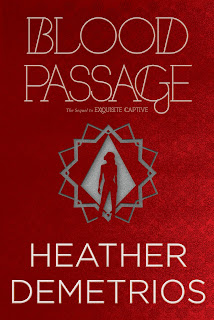 Blood Passage book cover