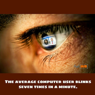 The average computer user blinks seven times in a minute.