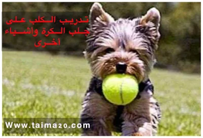جلب الكرة .