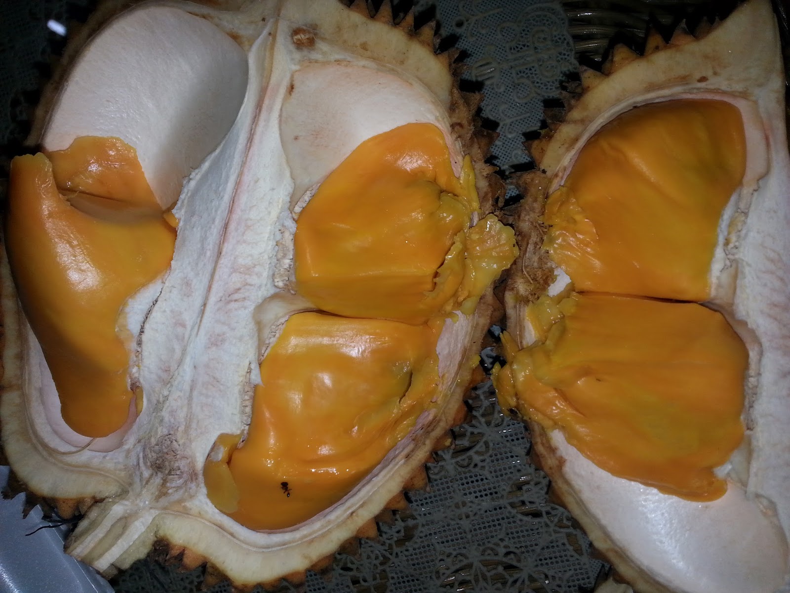 10 Jenis Durian Asli Tanah Air Yang Bikin Indonesia Jadi Rajanya
