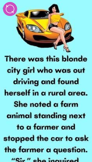 The Blonde City Girl and the Farmer’s Wisdom