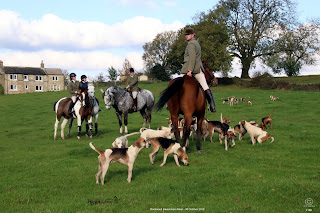 Rockwood Harriers