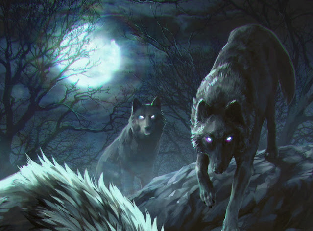 عين الذئب بالليل