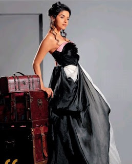 Actress Asin hot in new photoshoot
