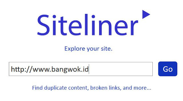 Cek Broken Link Menggunakan Siteliner.com