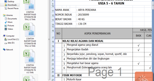 Contoh Raport PAUD TK KB TPA dengan Microsoft Excel 