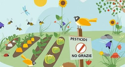 Risultati immagini per 13 maggio 2018 - Marcia contro i pesticidi