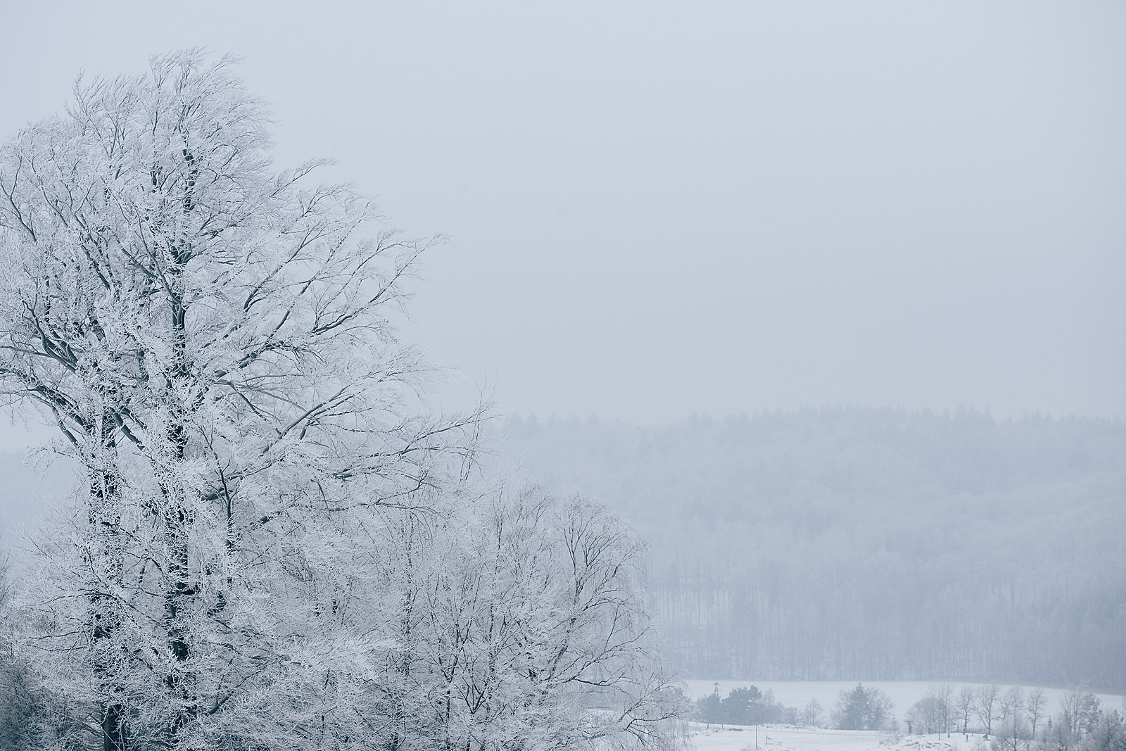 Koszałkowo, Wieżyca, Zima, Stok narciarski