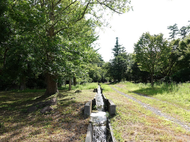 大和ハウス工業ロイヤルシティ大山リゾートの別荘地