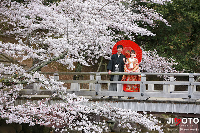 奈良の桜での前撮り撮影