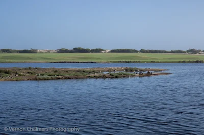 Diep river water level across from the Milnerton Golf 