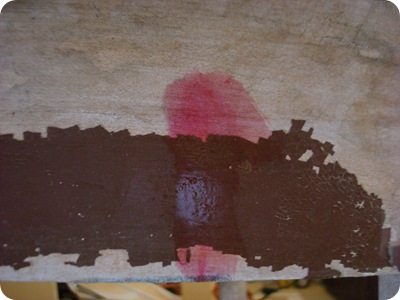 lead test result