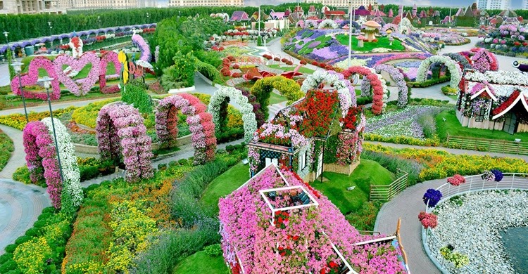 Flower Garden Pictures Download - Beautiful Flower Garden Picture Collection 2023.  Full Bagan Pic - NeotericIT.com