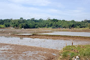 Waduk Jatigede Surut di Ancol Desa Karangpakuan Darmaraja Sumedang