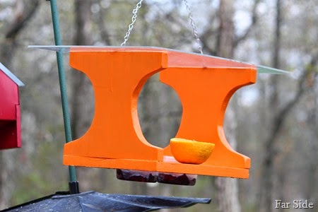 Oriole Grape and Orange feeder