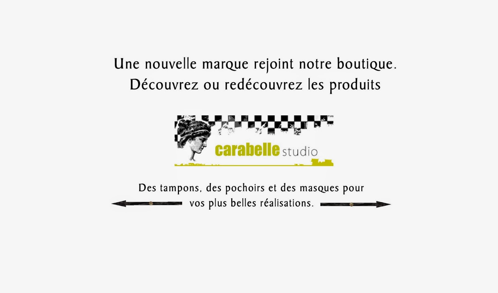 http://www.aubergedesloisirs.com/36_carabelle-studio