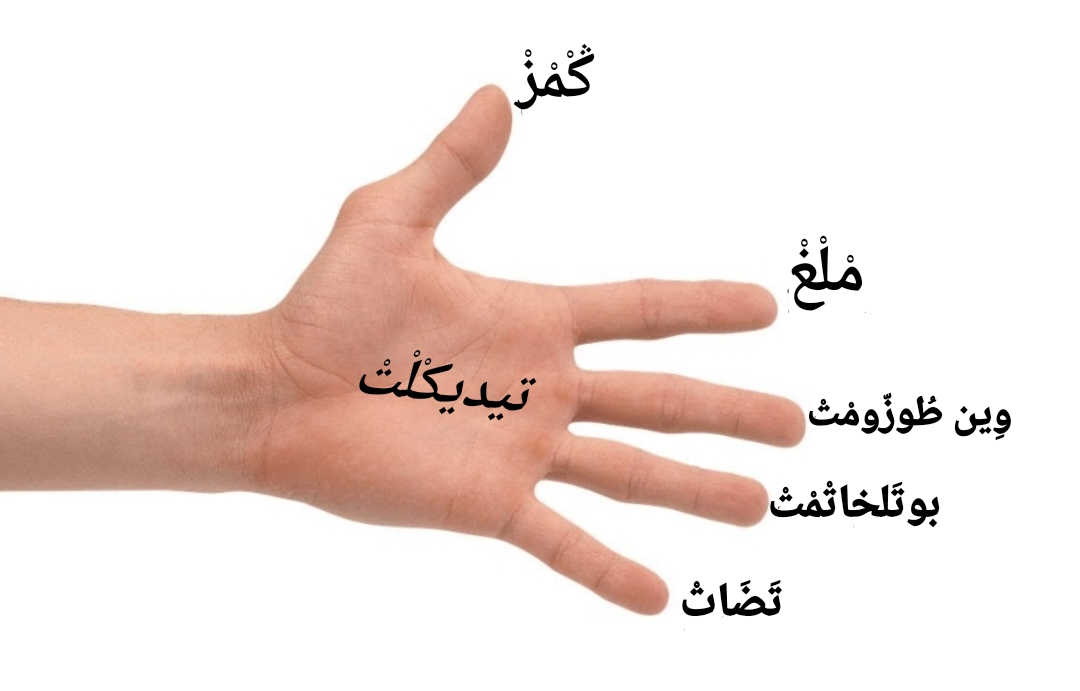 Fingers in tamazight