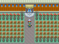 Pokemon Royal Screenshot 05