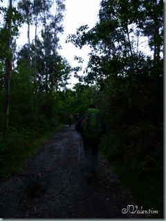 P1040036
