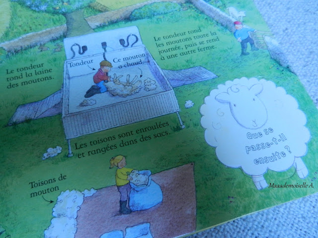 || A la ferme (Présentation & Avis)(Chut, les enfants lisent #31)