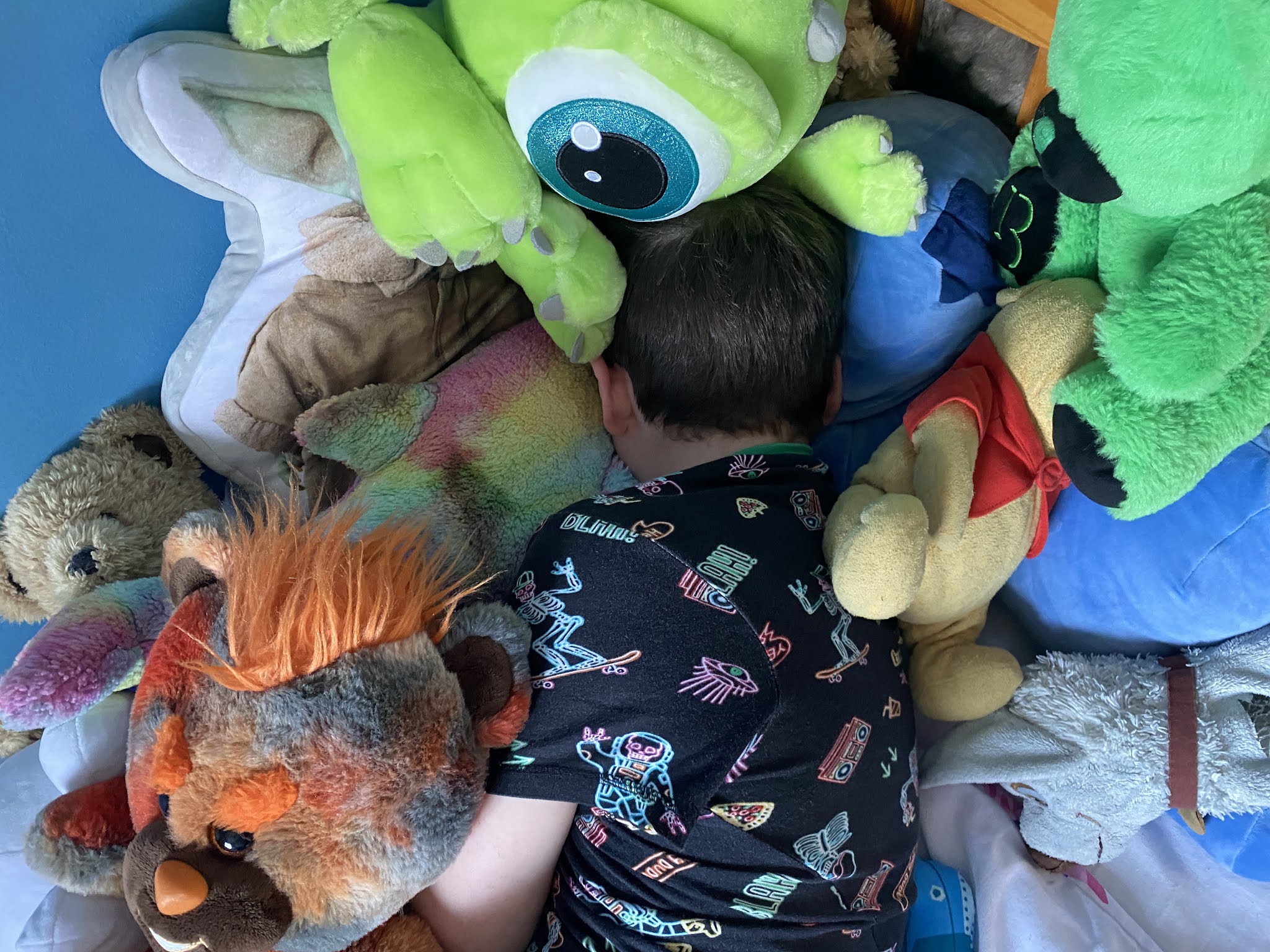 boy buried by teddies