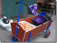donkeys carrot trailer