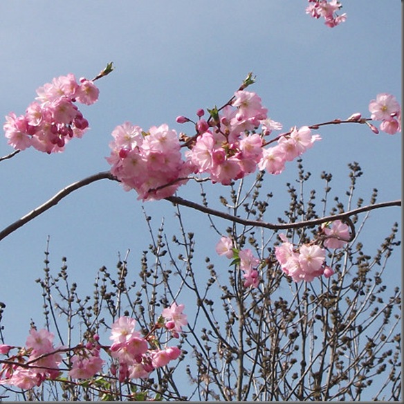 s201100403DSCF3704