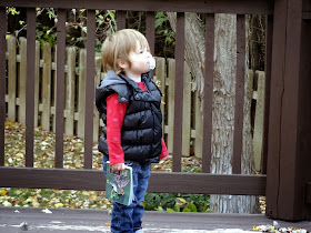 Bird Watching 