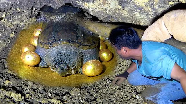 In-a-Hidden-Cave-Explorers-Unearth-a-Mysterious-Treasure-Protected-by-a-Majestic-Golden-Turtle