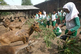 12 obyek wisata menarik di semarang Jawa Tengah yang bisa anda kunjungi