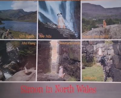 Simon in North Wales