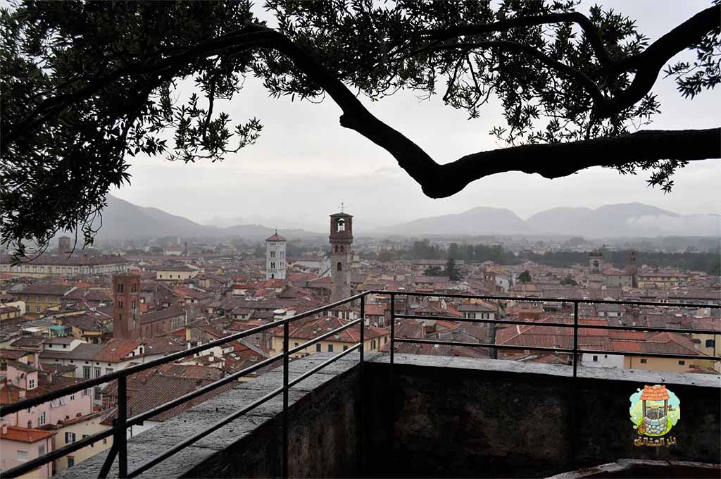 برج توري غينيجي في لوكا، إيطاليا، التي شيد في عام 1300 وعلى قمة سطحه  سبع أشجار بلوط  بعمر 100 عام