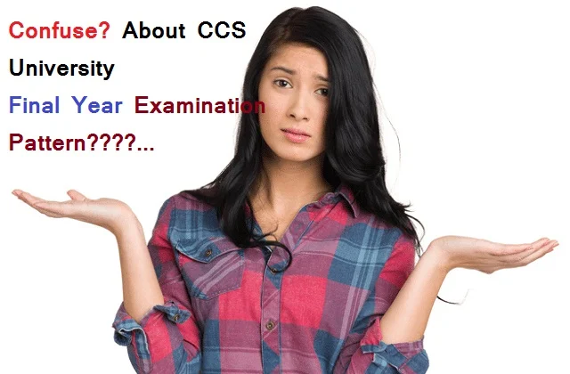 CCS University Final year examination pattern