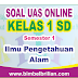 Soal Uas Ipa Online Kelas 1 ( Satu ) Sd Semester 1 ( Ganjil ) - Eksklusif Ada Nilainya