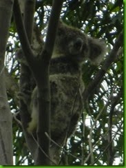 DSCN3627-1