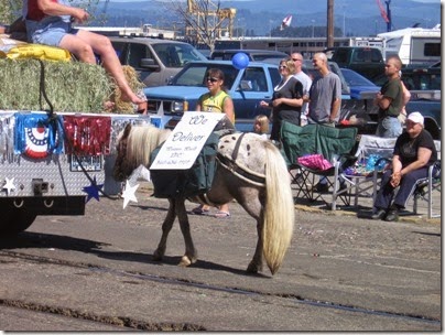 IMG_1772 Western World Horse in the Rainier Days in the Park Parade on July 12, 2008