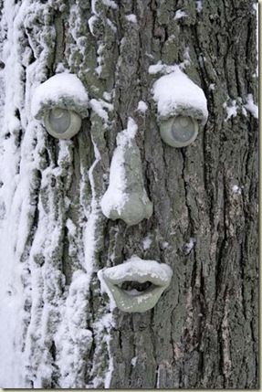 treeface