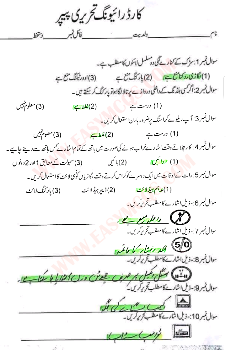 driver license permit test