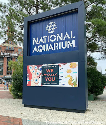 National Aquarium in Baltimore Maryland at Inner Harbor