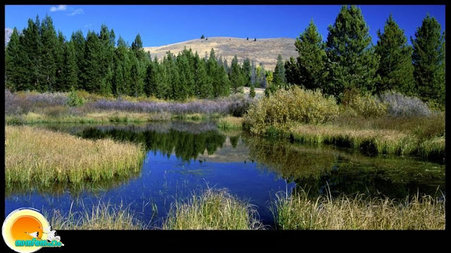 Beaver Ponds, Sun Valley, Idaho, USA