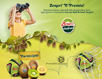 Logo Vinci gratis ogni giorno 3 palloni firmati Zespri