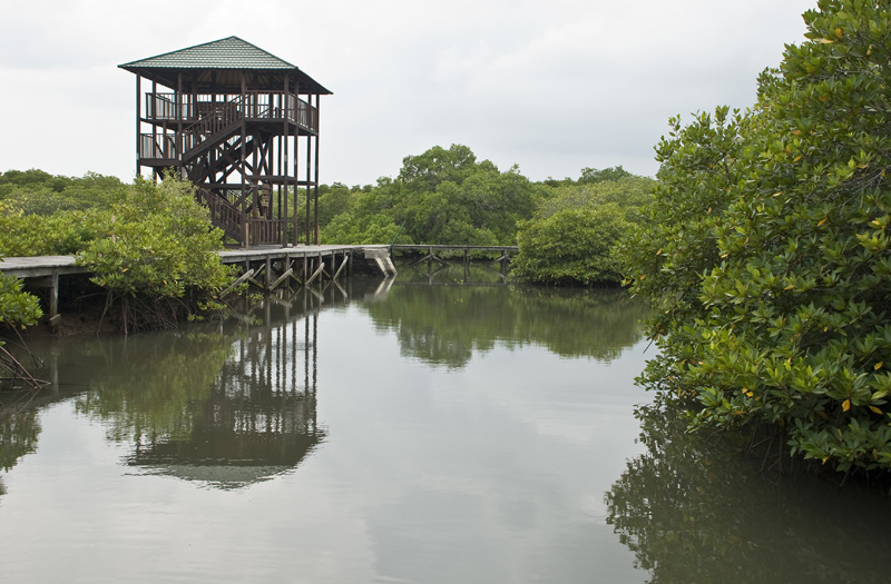 Ngurah Rai Forest Park Bali, Image