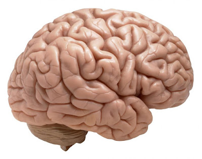 Tips Menjaga Kesehatan Otak
