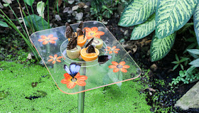 Schmetterlinge im Luisenpark