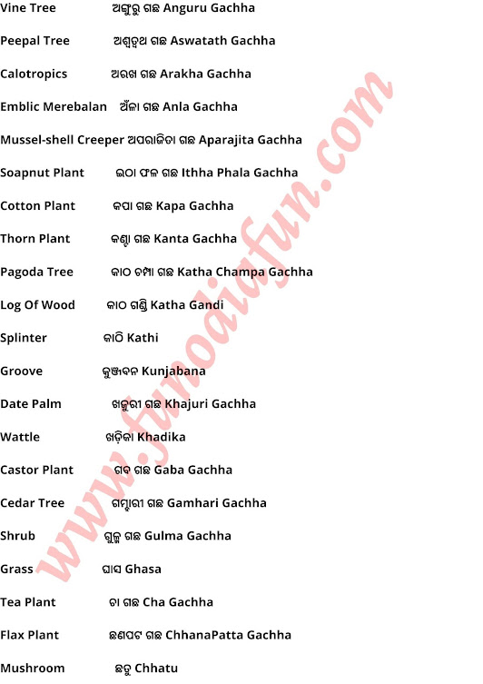 All tree name in Odia and english odia and english of tree name