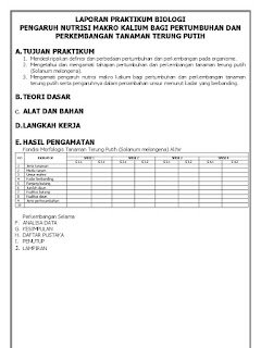   laporan praktikum enzim katalase, praktikum biologi enzim katalase ekstrak hati, cara kerja enzim katalase pada hati, laporan praktikum enzim katalase pada hati dan jantung, laporan praktikum biologi enzim katalase menggunakan hati ayam, dasar teori enzim katalase, laporan enzim katalase pada hati ayam, laporan praktikum enzim katalase pada hati dan jantung ayam, laporan pengaruh enzim katalase pada hati ayam