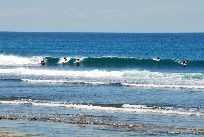 Surfistas en el mar