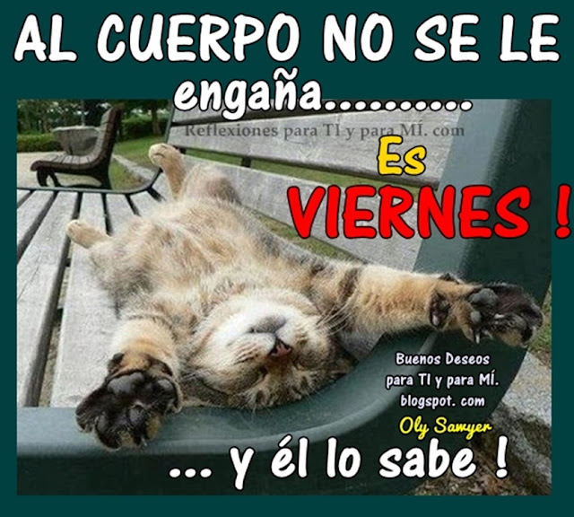 Al Cuerpo no se le engaña..........  Es VIERNES !!!    ....... y él lo sabe!