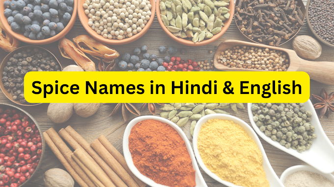Spices Name in Hindi | List of Spices Name in Hindi and English | मसालों के नाम