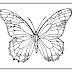 Butterfly Coloring Pages
